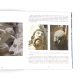 Les masques de la cathédrale de Reims