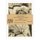 Lot de 10 cartes postales sur la statuaire