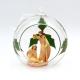 Nativity color in glass ball holly decorations
