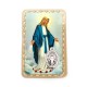 Miraculous Virgin medal card